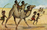 A Camel Race 