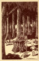 5 - En Afrique - Le "Coupeur de bois". The Wood-Cutter. Der Holzhauer. El Lenador. 