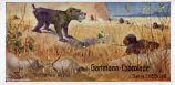 Gartmann Schokolade - Serie 568 Bild 6 - Seltenes Wild. Die Löwen- und Elephantenjagd an Gefährlichkeit 