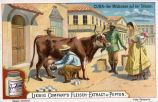 Liebig's Fleisch-Extract u. -Pepton - Cuba - Der Milchmann auf der Strasse 