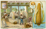 Liebig's Fleisch-Extract - Das Getreide - Mais - In der Maismühle. - Der Mais ist eine einjährige Pflanze 