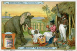 Liebig's Fleisch-Extract - Bilder aus Afrika - Familienidylle 