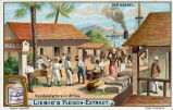 Liebig's Fleisch-Extract - Der Handel - Handelsfactorei in Afrika 