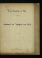 Entwurf des Budgets / 1874