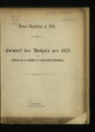 Entwurf des Budgets / 1875